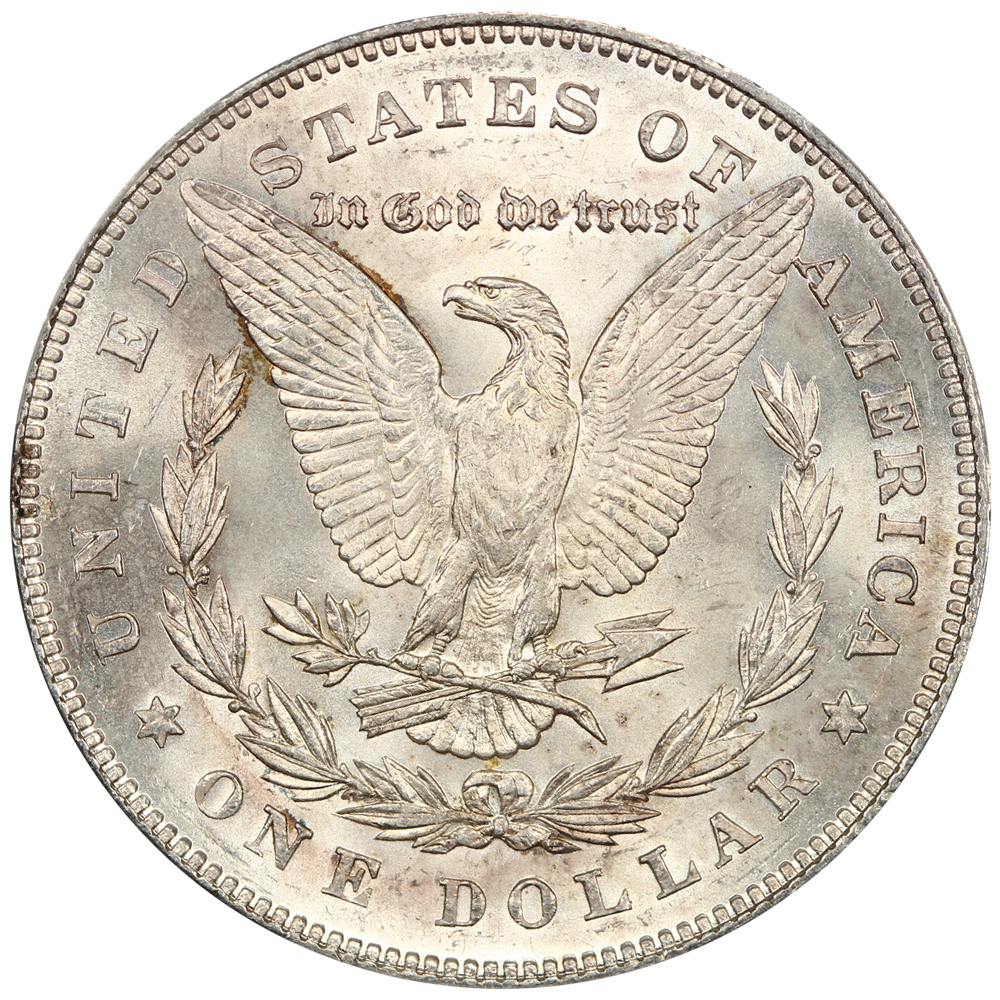 1878 Morgan Silver Dollar Reverse Design